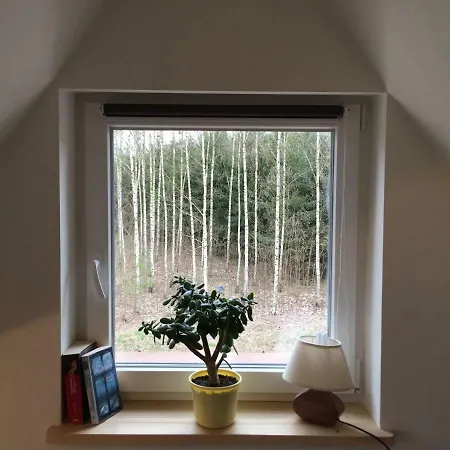 Pod Debami - Pokoje Na Mazurach